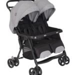 Graco DuoRider Doppel-Kinderwagen Geschwisterwagen ab Geburt – Grau